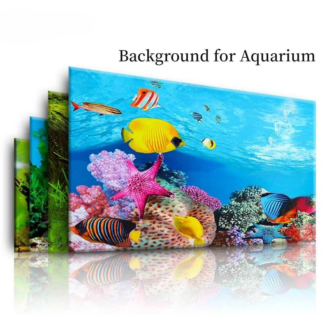 Marine Aquarium For Sale - Background Aquarium 3D Sticker Poster Decoration
