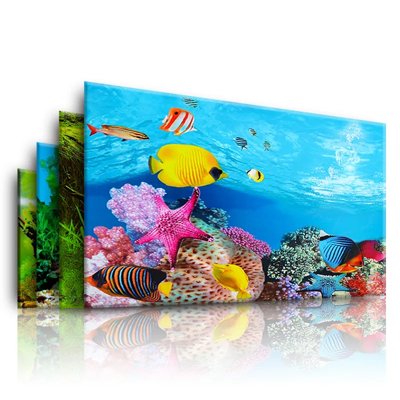 Background for Aquarium 3d  St - Marine Aquarium For Sale recension och pris