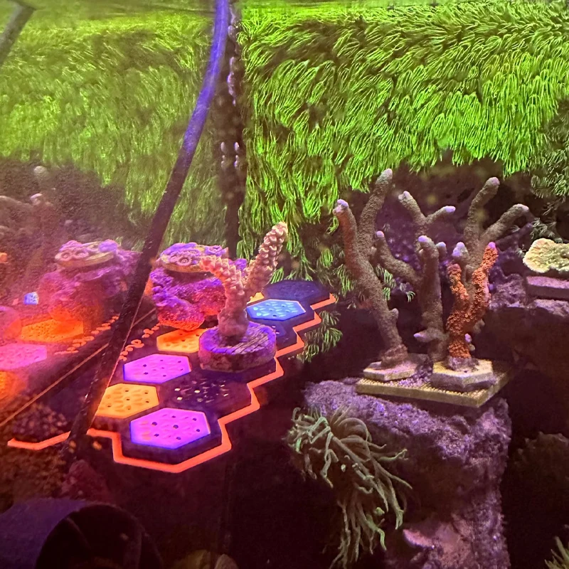 Aquarium Fluorescent Magnetic  - Coral Frag Plug recension och pris