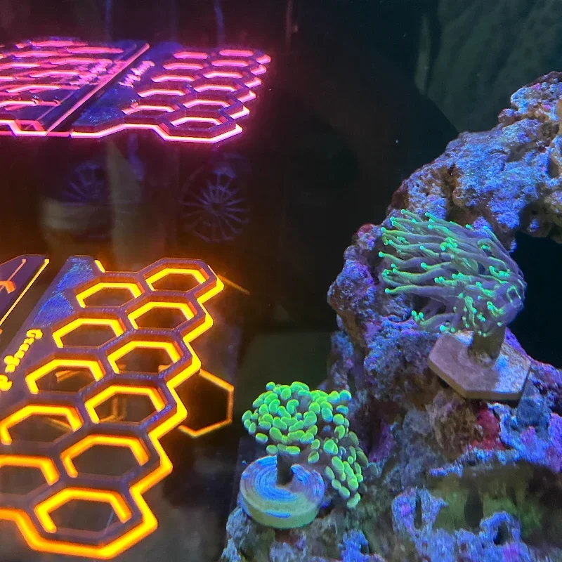 Aquarium Fluorescent Magnetic  - Coral Frag Plug recension och pris