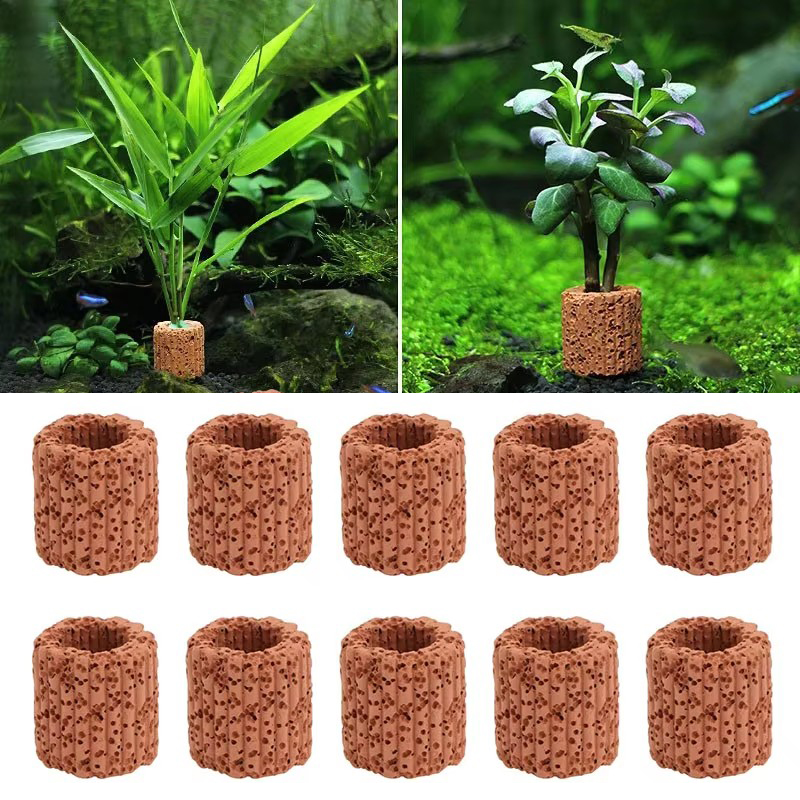Aquatic Plant Fixed Ring for A - Marine Aquarium For Sale recension och pris