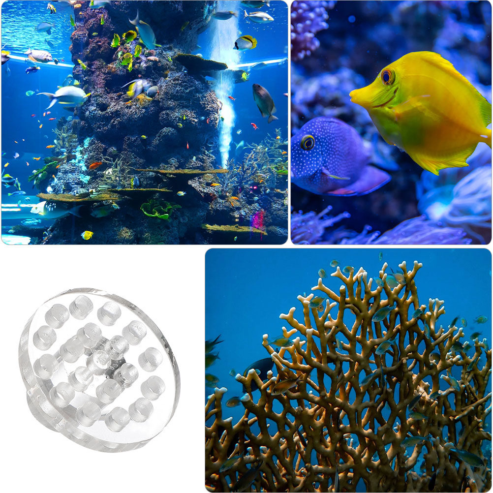 10Pcs Acrylic Coral Frag Rack  - Coral Frag Plug recension och pris