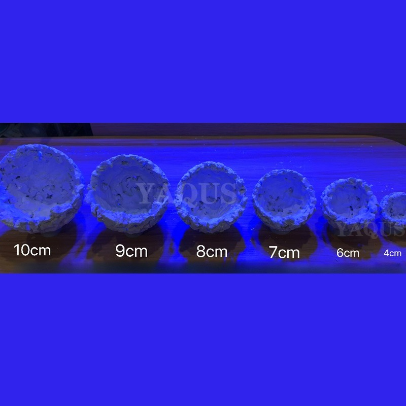 New DIY Handmade Floating Magn - Coral Frag Plug recension och pris