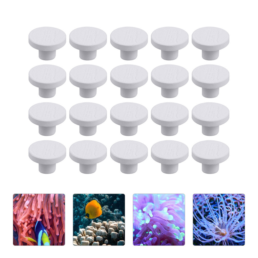 SPS Ceramic Coral Frag Plugs B - Coral Frag Plug recension och pris