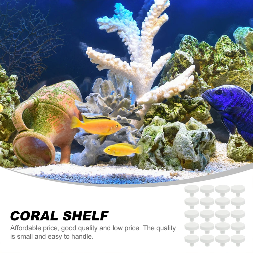 20Pcs Coral Glue Reef Safe Cor - Coral Frag Plug recension och pris
