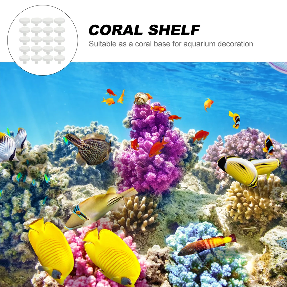 20Pcs Coral Glue Reef Safe Cor - Coral Frag Plug recension och pris