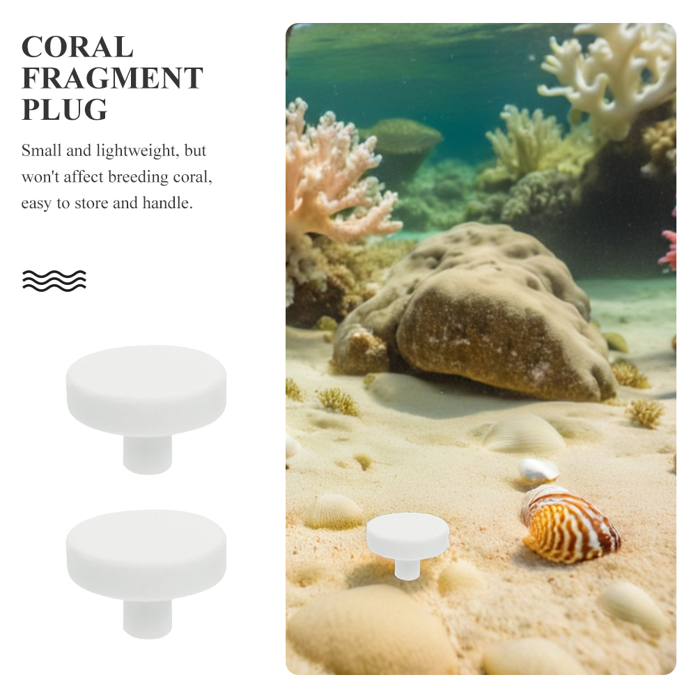 20Pcs Aquarium Coral Stand Cor - Coral Frag Plug recension och pris