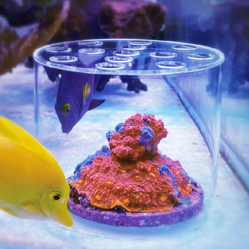 Vastocean Aquarium Arcylic Cor - Coral Frag Plug recension och pris