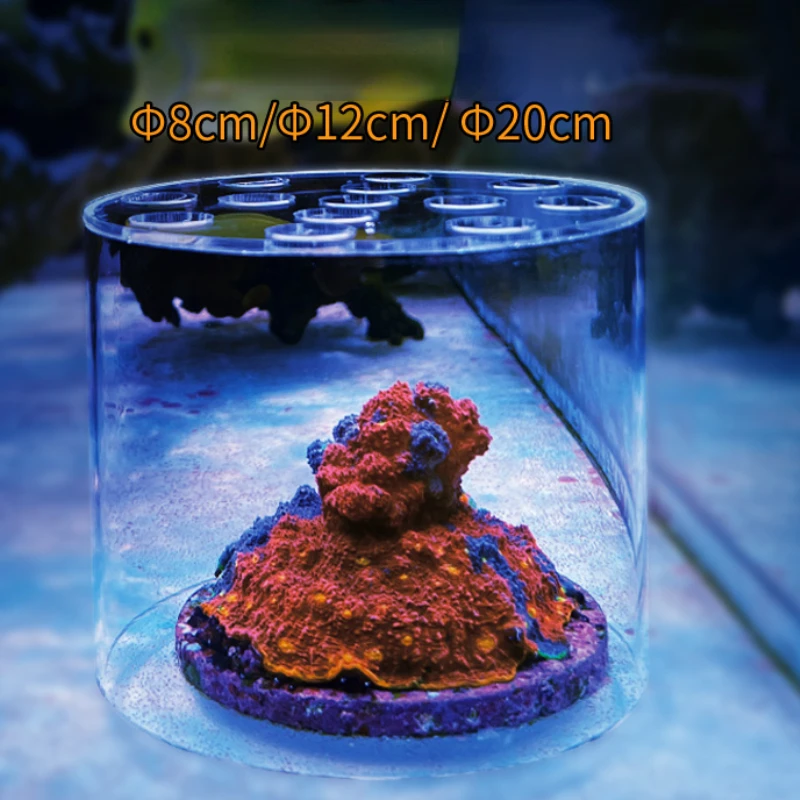 Vastocean Aquarium Arcylic Cor - Coral Frag Plug recension och pris