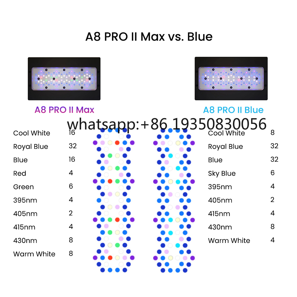 2026-A8 PRO II Max and Blue 24 - Marine Aquarium & Regional Centre recension och pris
