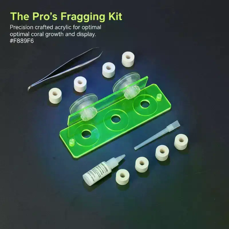 1Pcs Coral Rack Marine Reef St - Coral Frag Plug recension och pris