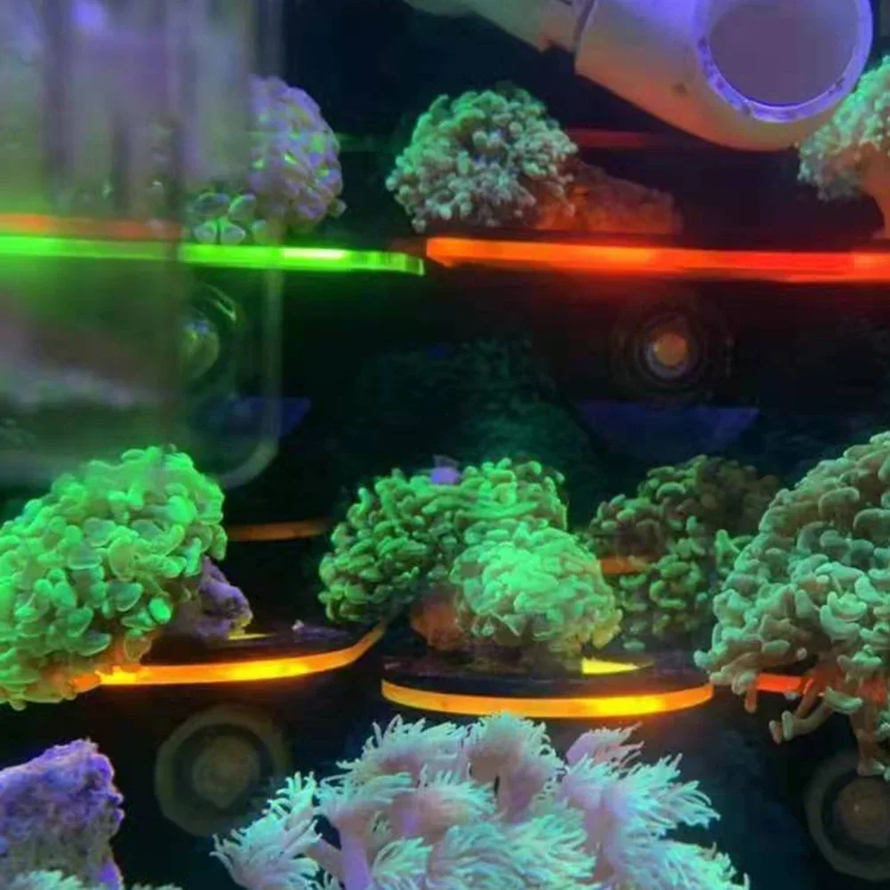 Fish Tank Acrylic Fluorescent  - Coral Frag Plug recension och pris