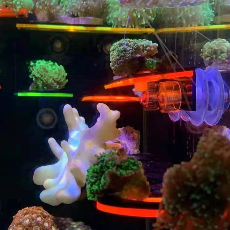 Fish Tank Acrylic Fluorescent  - Coral Frag Plug recension och pris
