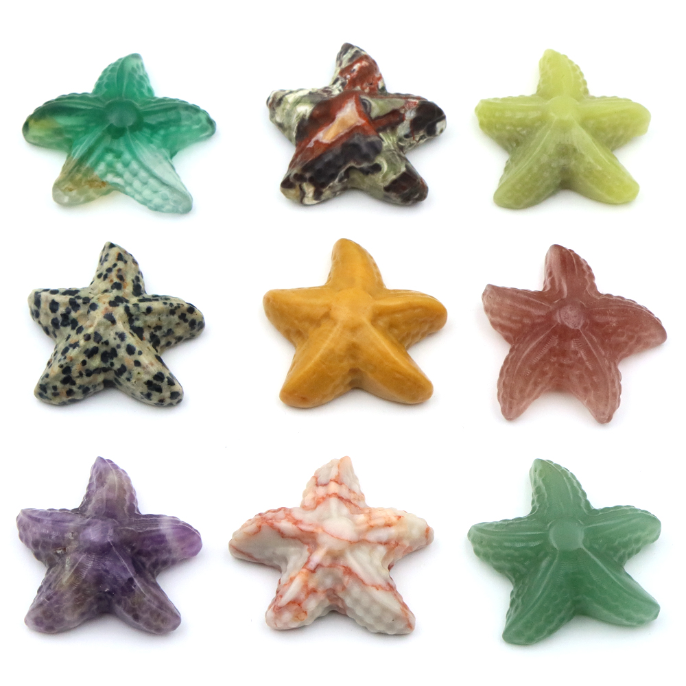 35mm Starfish Shape Statue Mar - Marine Aquarium & Regional Centre recension och pris