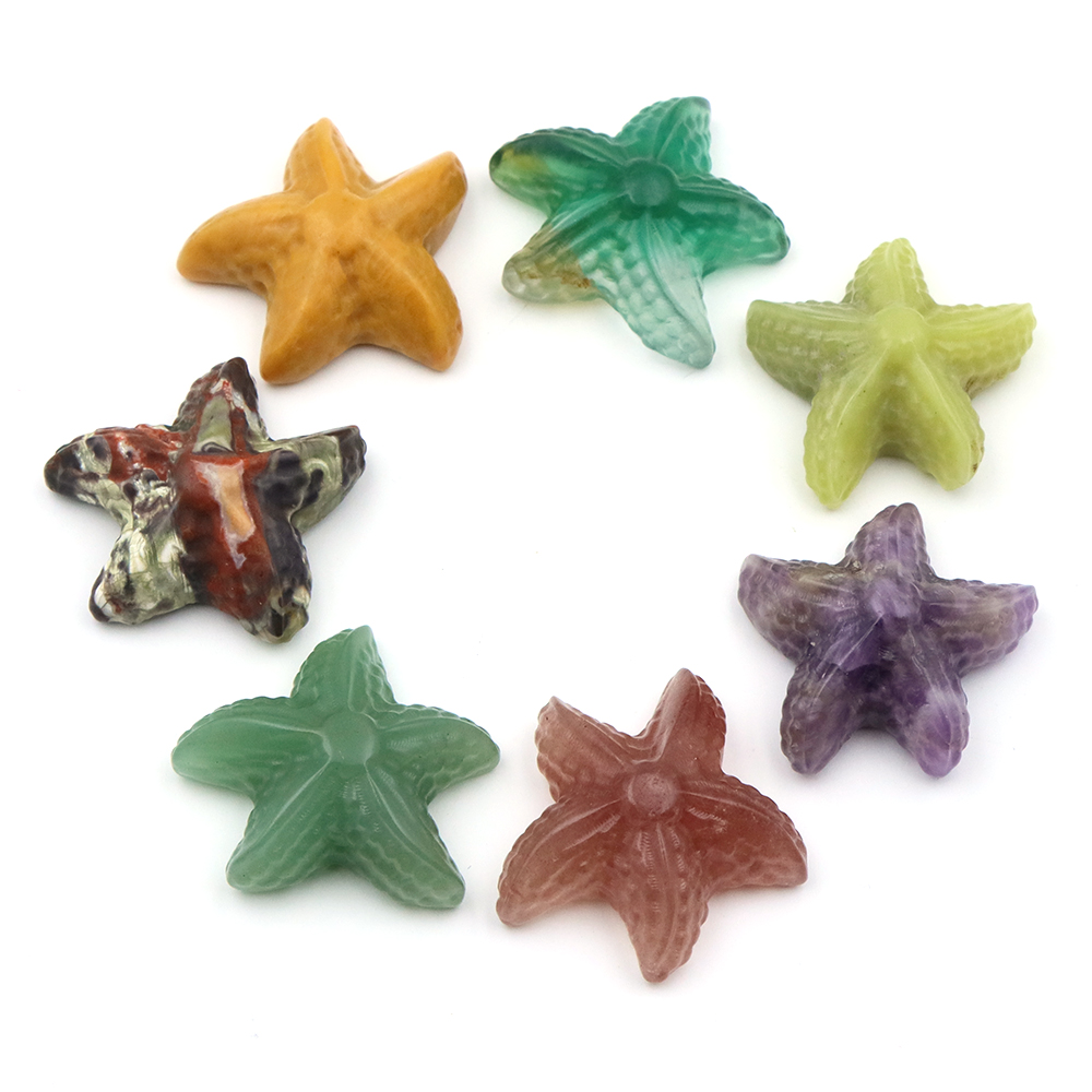 35mm Starfish Shape Statue Mar - Marine Aquarium & Regional Centre recension och pris