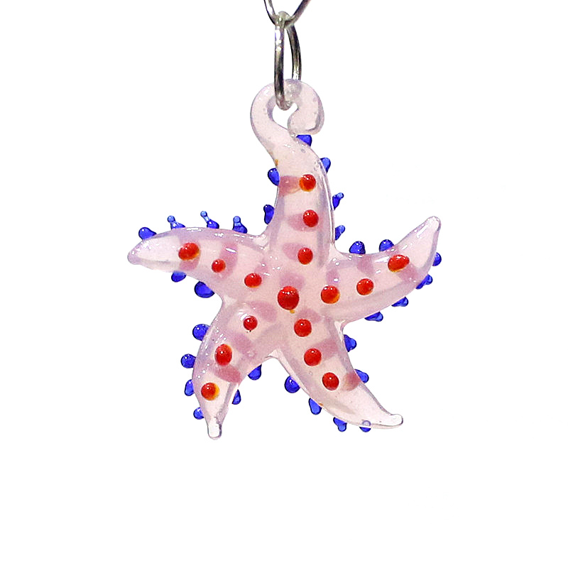 Cute Marine Animal Starfish Ch - Marine Aquarium & Regional Centre recension och pris
