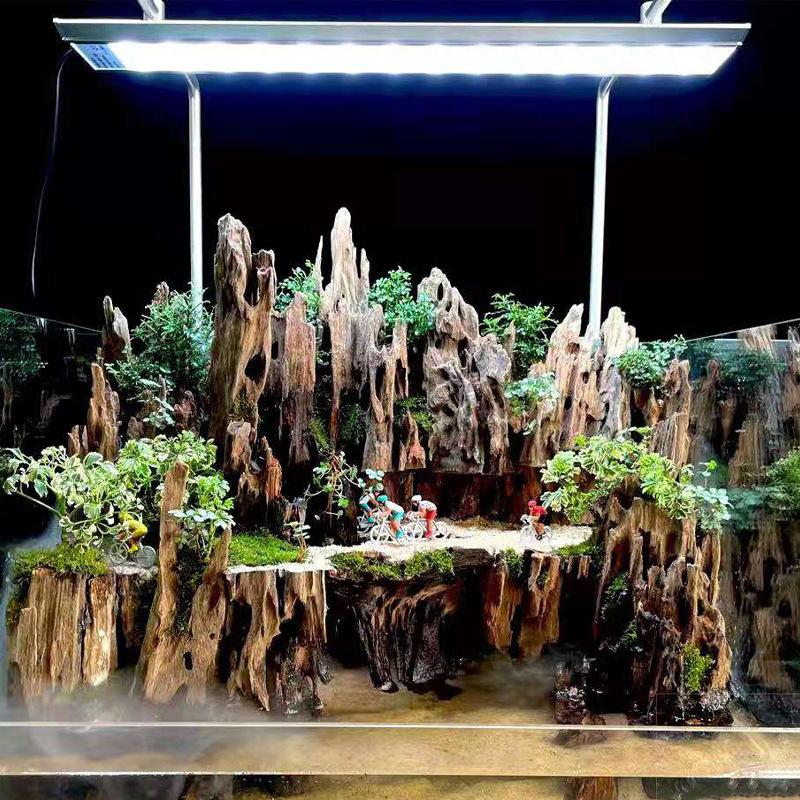 △ Shrimp Wood Aquarium Decor,  - Marine Aquarium For Sale recension och pris