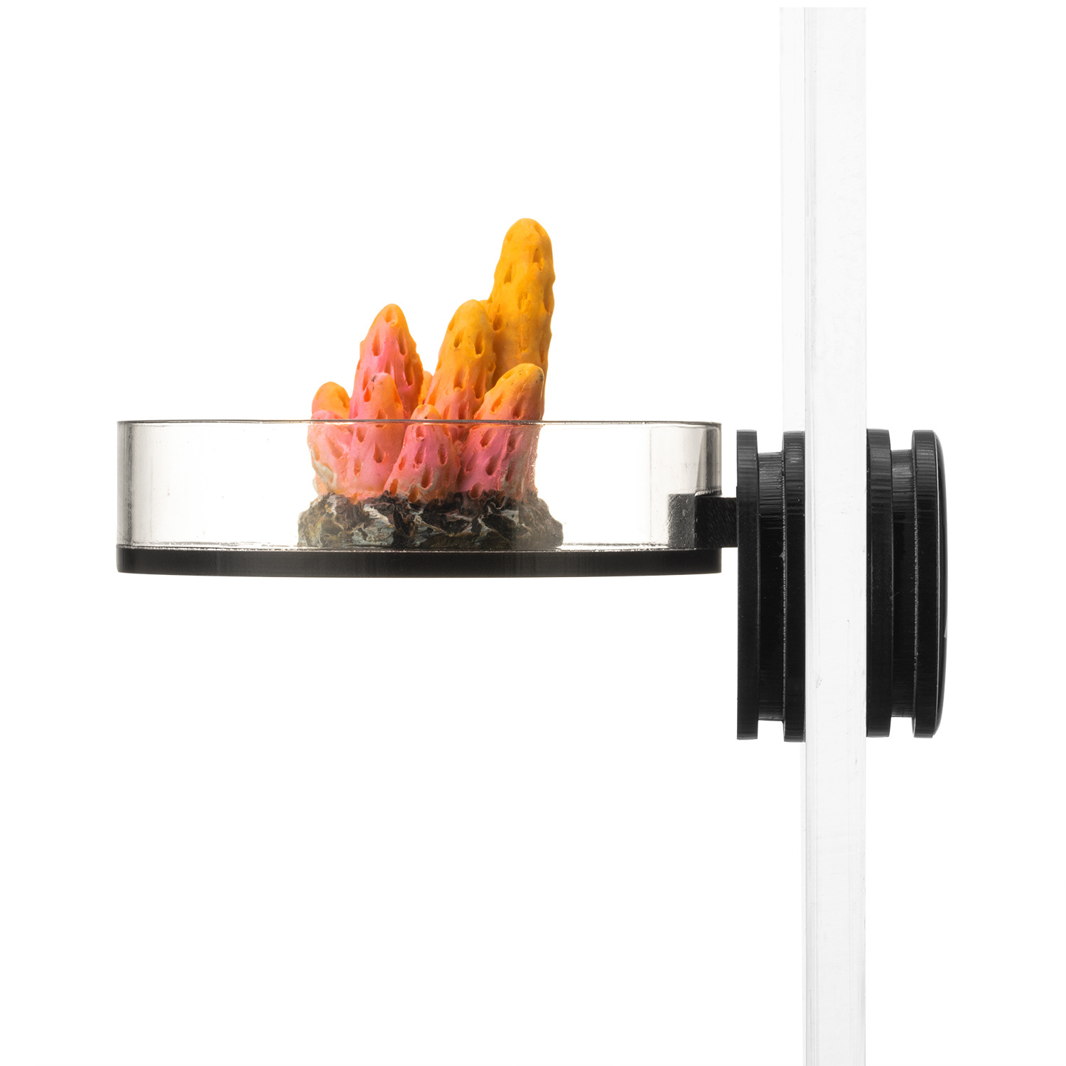 Marine Sources 70mm Black Magn - Marine Aquarium & Regional Centre recension och pris